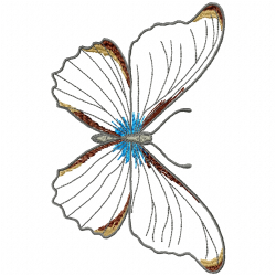 Butterfly Embroidery Design 11 Butterfly Embroidery Design 11